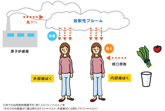 問題となる主な放射性核種