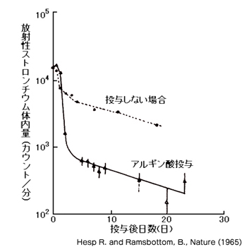 ヒトにアルギン酸を投与した後、20分後放射性ストロンチウムを投与したときの体内残留量の変化