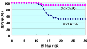 【実験2】X線を全身照射後、LFを腹腔内投与した後の生存率