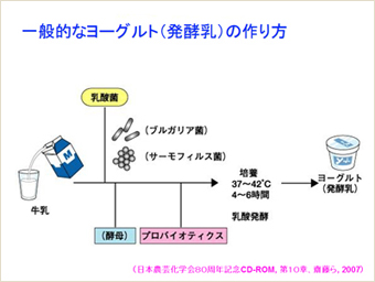 ヨーグルトの定義と優れた2菌の特徴