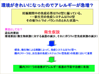 環境がきれいになったのでアレルギーが急増？