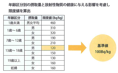 年齢区分別の摂取量と放射性物質の健康に与える影響を考慮し限度額を算出