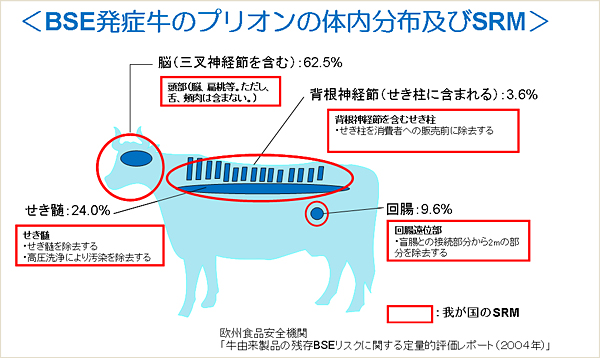 BSE発症牛のプリオンの体内分布及びSRM