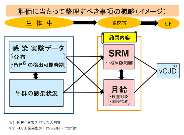 評価に当たって整理すべき事項の概略