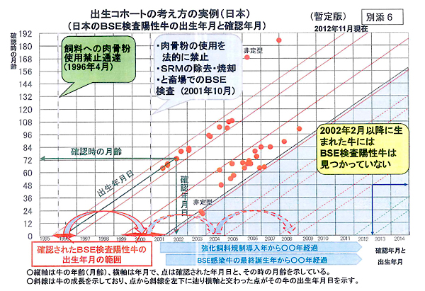 出生コホートの考えたの実例