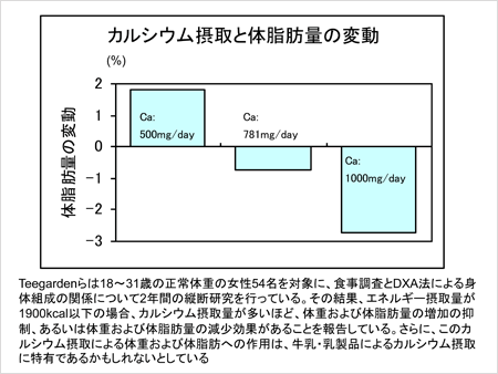 カルシウム摂取と体脂肪量の変動