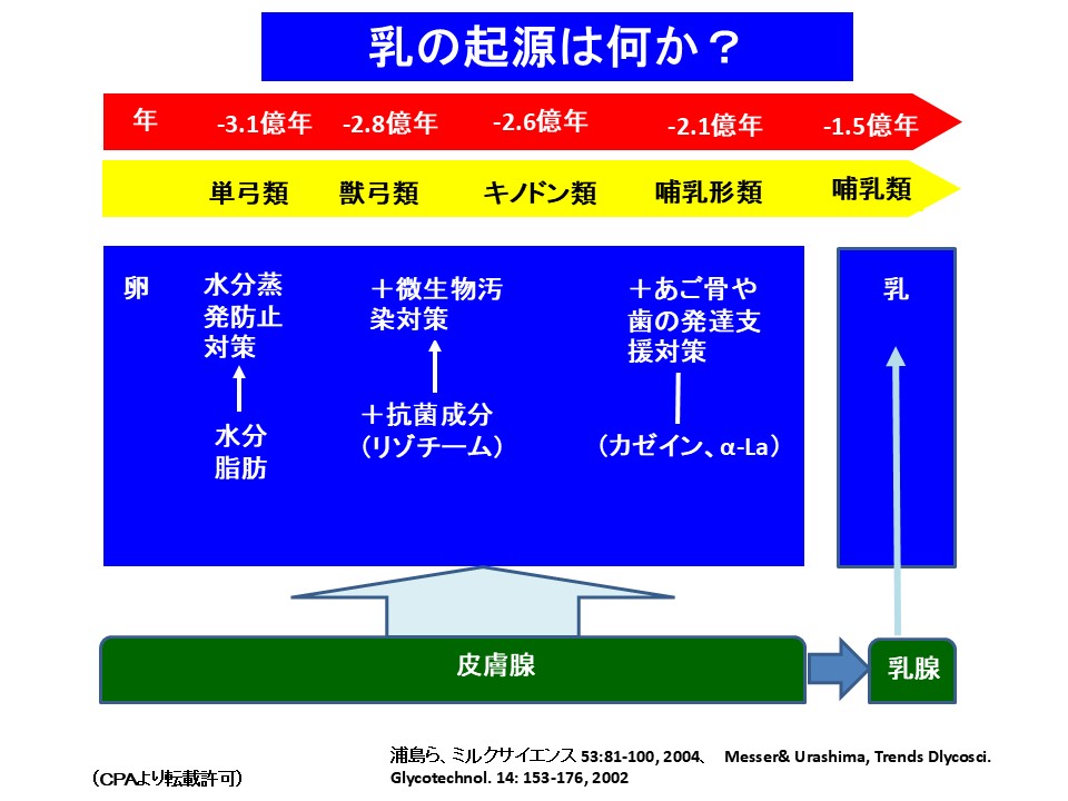 乳の起源は何か？