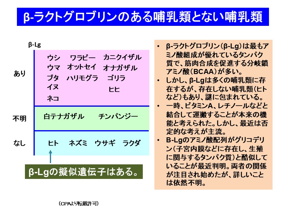 β-ラクトグロブリンのある哺乳類とない哺乳類