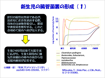 新生児の腸管菌叢の形成