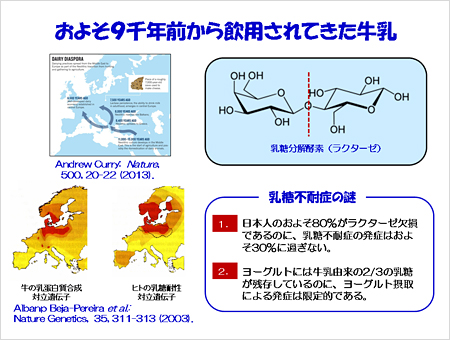 およそ9千年前から飲用されてきた牛乳
