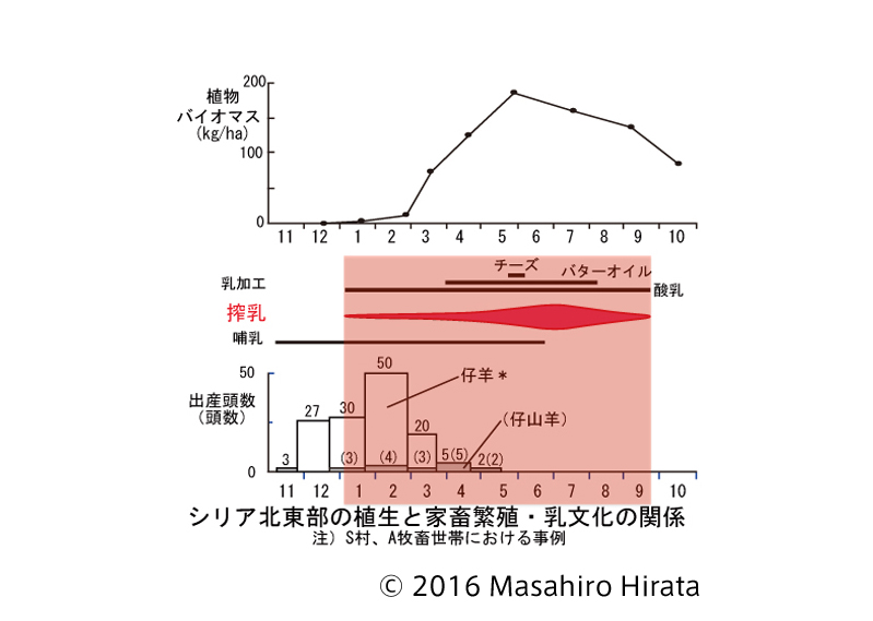 © 2016 Masahiro Hirata