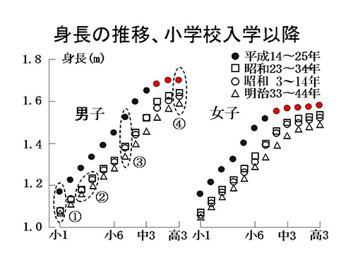 身長の推移、小学校入学以降