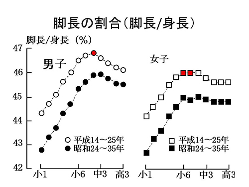 脚長の割合（脚長/身長）