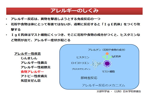 アレルギーのしくみ