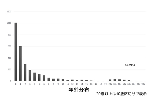 年齢分布