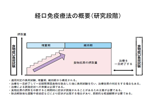 経口免疫療法の概要（研究段階）