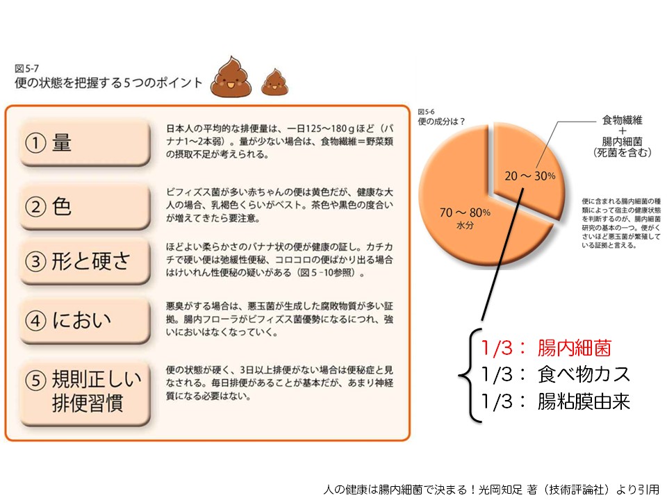 便の状態を把握する5つのポイント