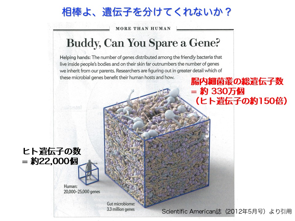 相棒よ、遺伝子を分けてくれないか?
