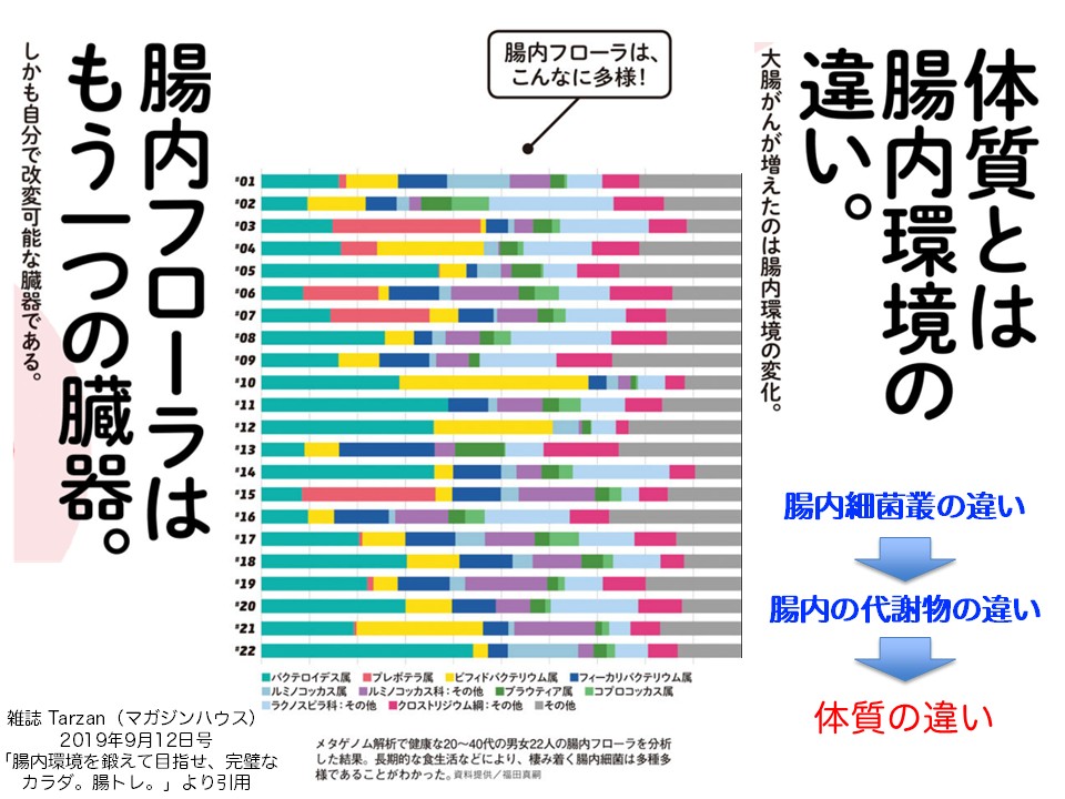 体質とは腸内環境の違い