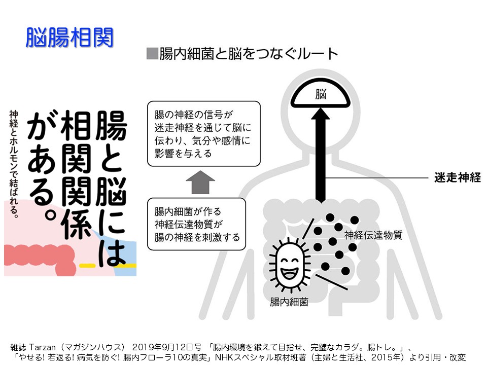 腸内相関