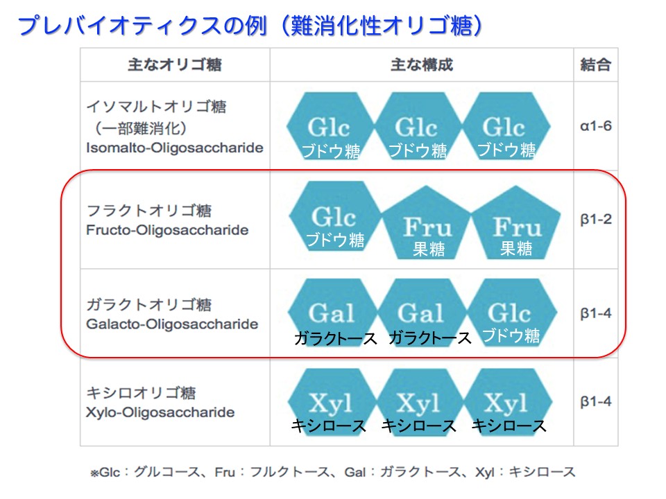 第99回 腸内細菌 プロバイオティクスと健康 一般社団法人日本乳業協会