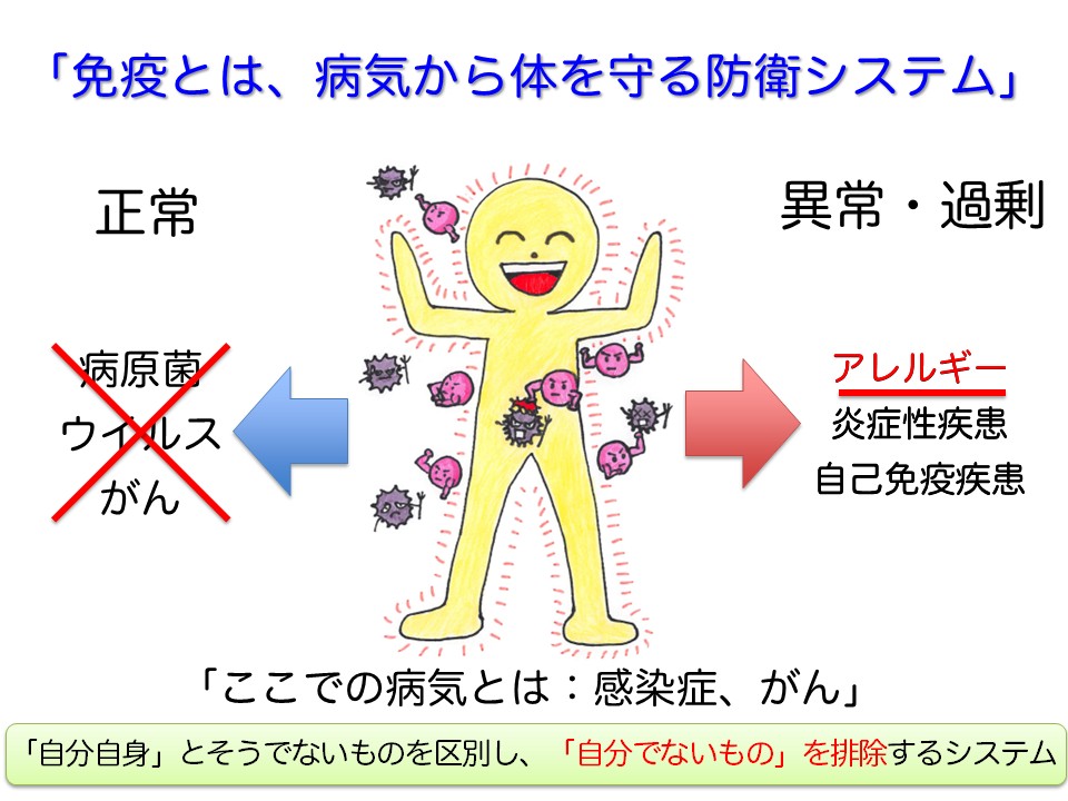 免疫とは、病気から体を守る防衛システム