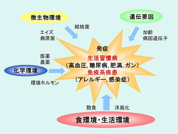 発症 生活習慣病 免疫系疾患