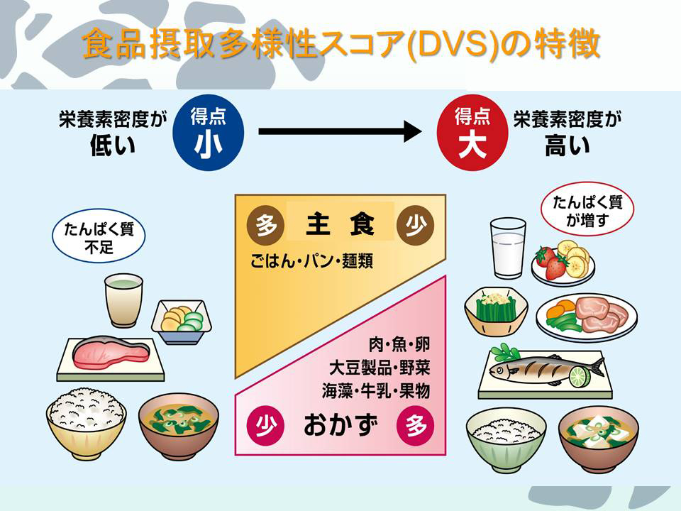 食品摂取多様性スコア（DVS）の特徴