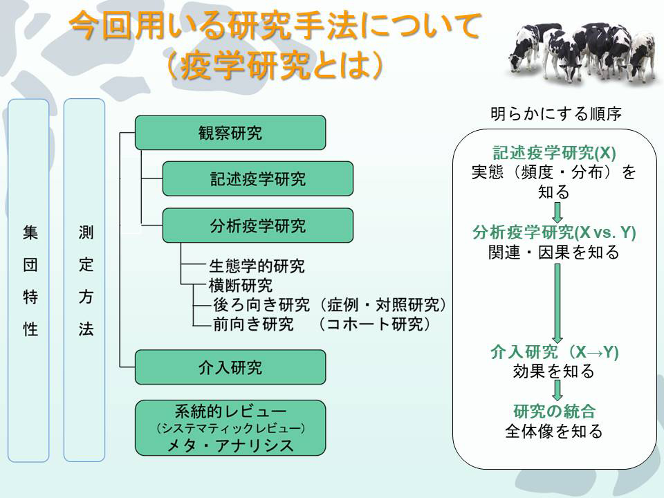 今回用いる研究手法について（疫学研究とは）