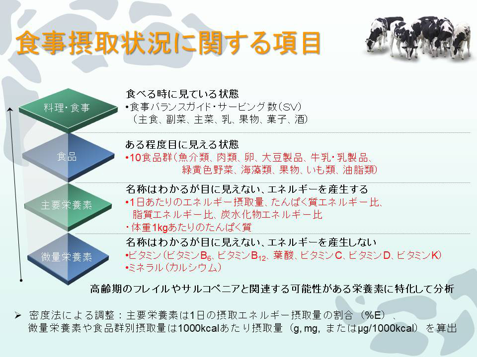 食事摂取状況に関する項目