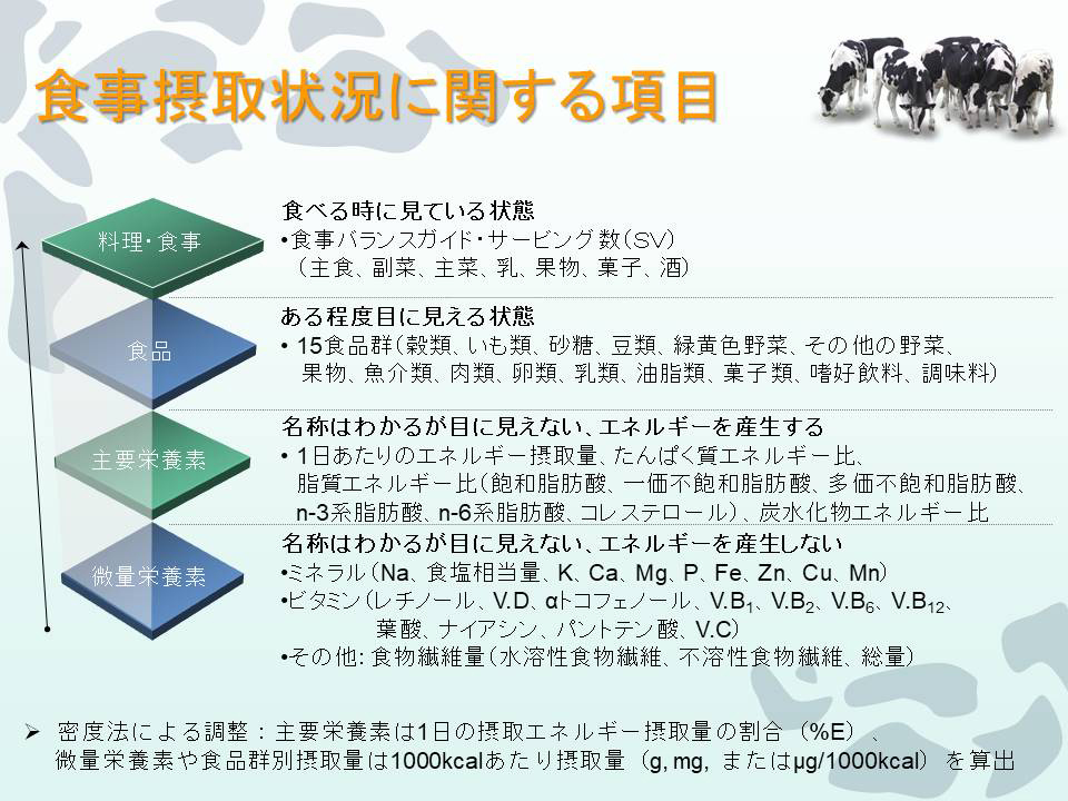 食事摂取状況に関する項目