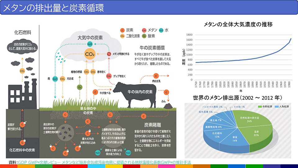 メタンの排出量と炭素循環