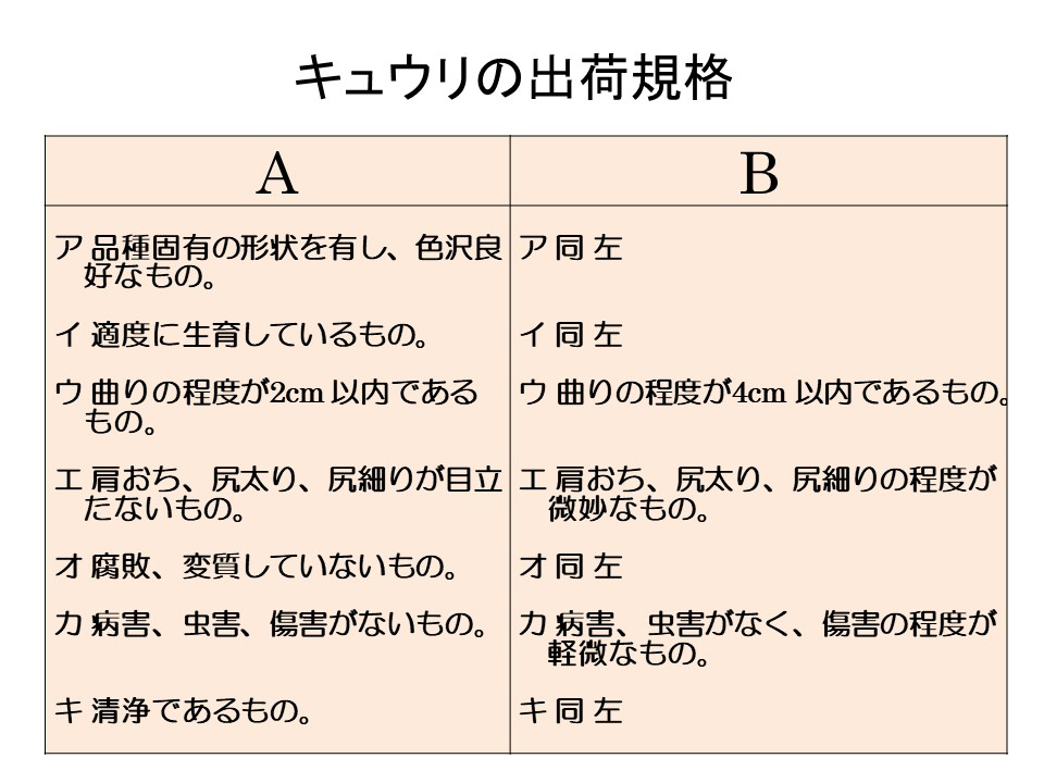 キュウリの出荷規格