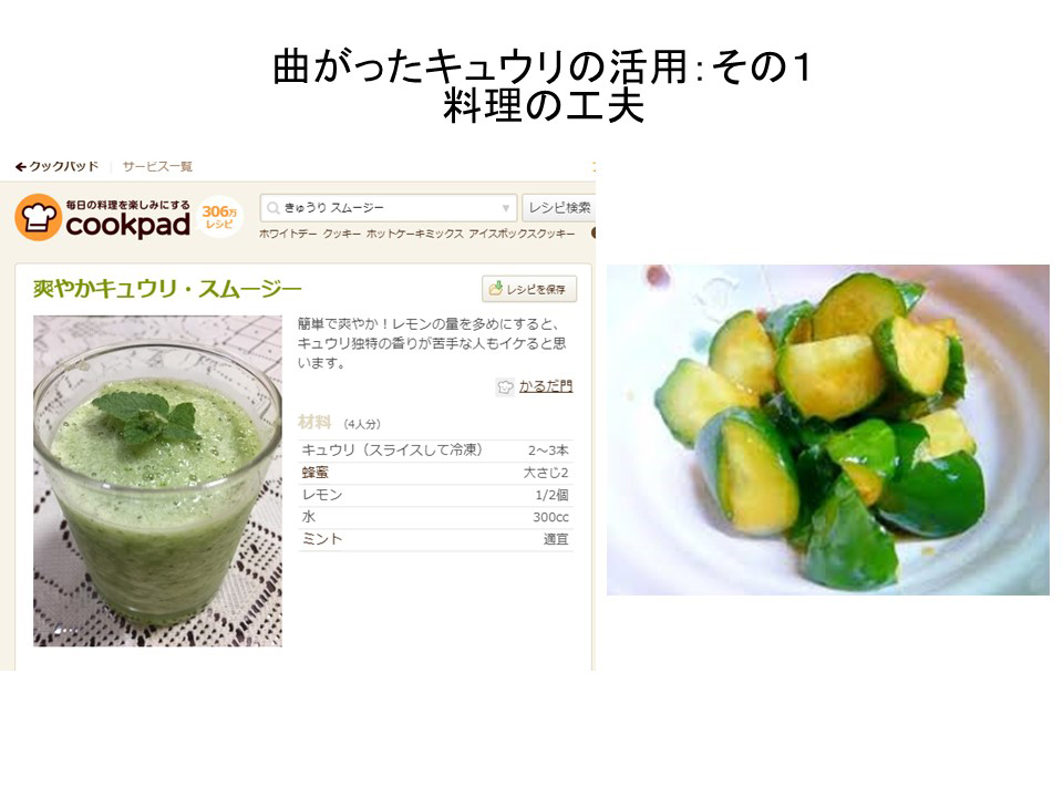 曲がったキュウリの活用:その1料理の工夫