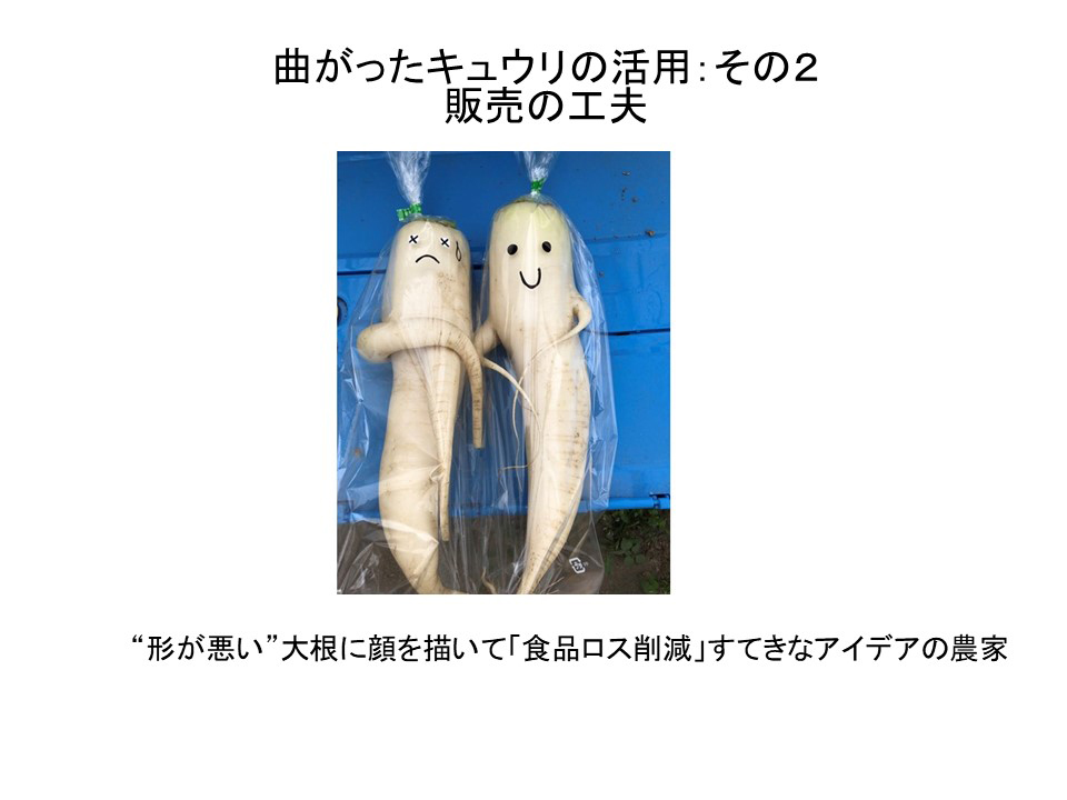 曲がったキュウリの活用:その2販売の工夫