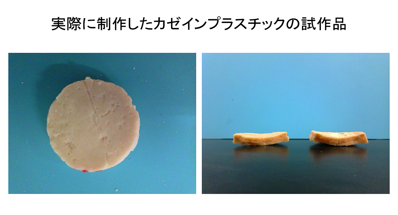 カゼインプラスチックの制作方法