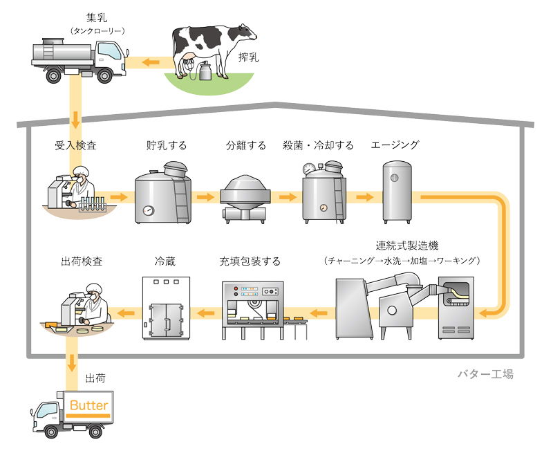 バターの製造工程