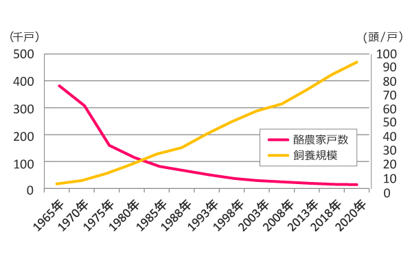 図3:酪農家戸数と飼養規模の推移