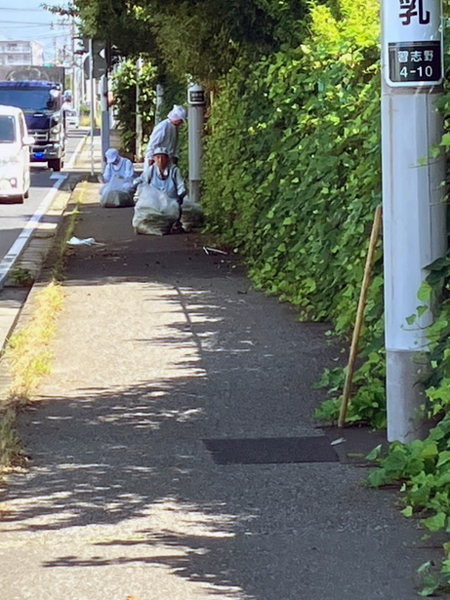 全国一斉清掃活動にチャレンジ！ 当日の様子