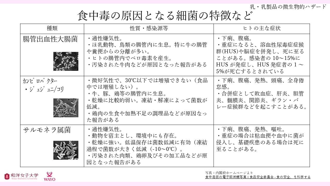 食中毒の原因となる細菌の特徴など