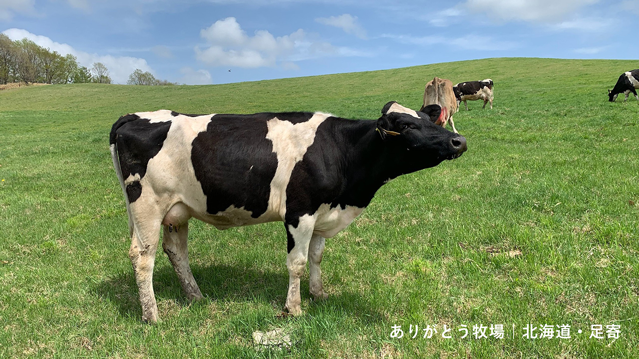 ありがとう牧場