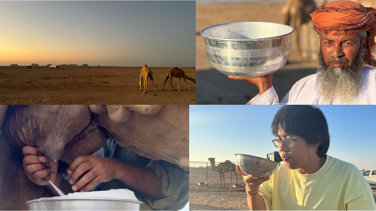 UAE、オマーン、カタールなどの中東の牧場めぐり