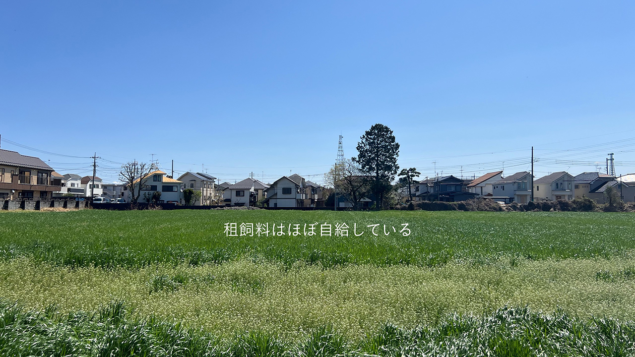 租飼料はほぼ自給している