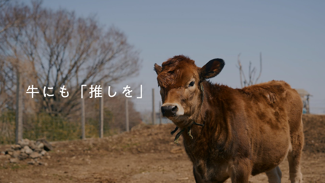 牛にも「推し」を