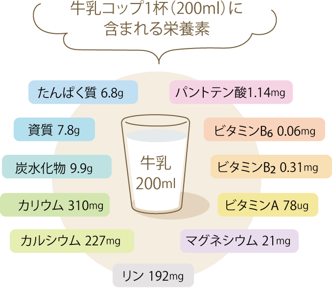 コップ一杯に含まれる栄養素